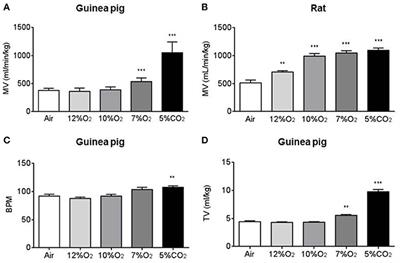 Guinea Pig Oxygen-Sensing and Carotid Body Functional Properties